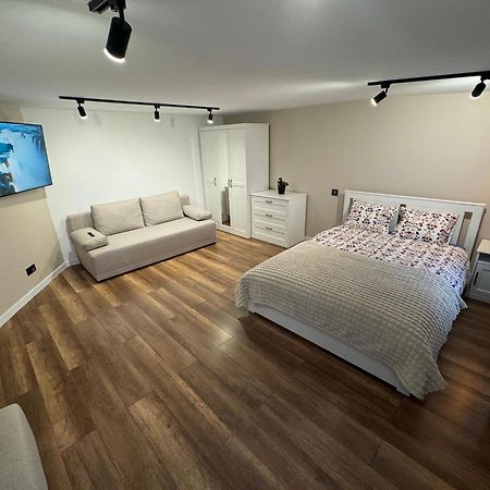 Gray Apartment 24H - Parking On The Street Katowice Esterno foto