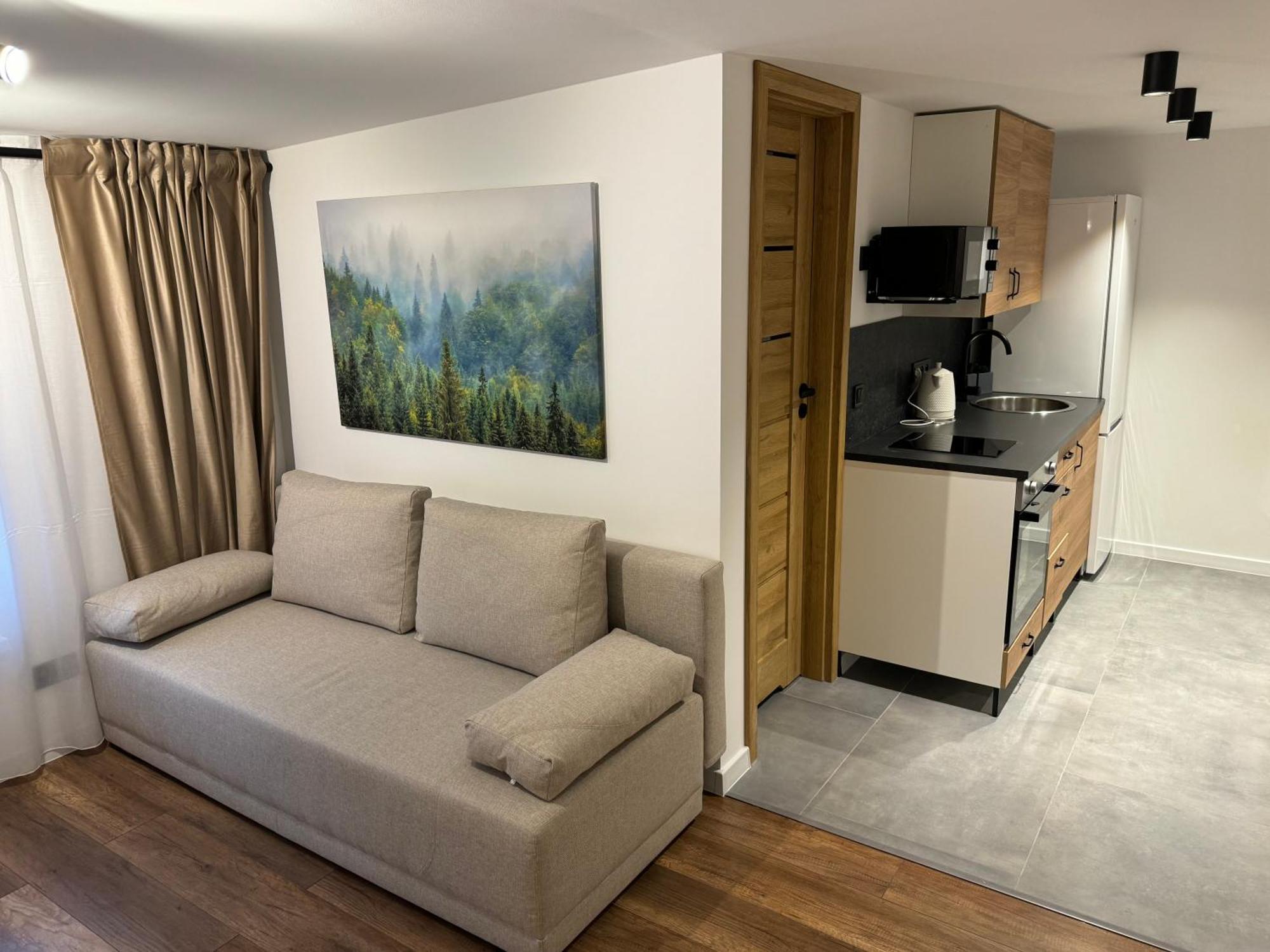 Gray Apartment 24H - Parking On The Street Katowice Esterno foto